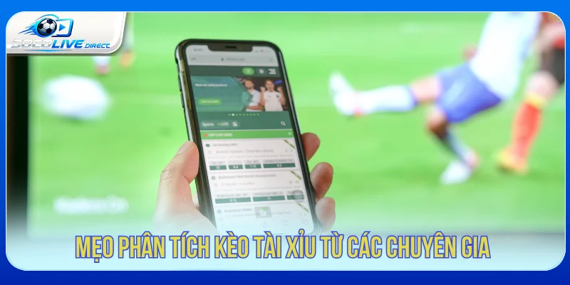 Kèo Tài Xỉu Là Gì? Cách Đọc Mốc Over/Under Dữ liệu cần xem trước khi phân tích kèo tài xỉu