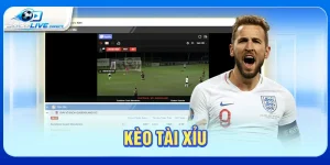Kèo tài xỉu